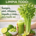 El Poder del Apio para Purificar Tu Sangre y Regenerar tu Piel