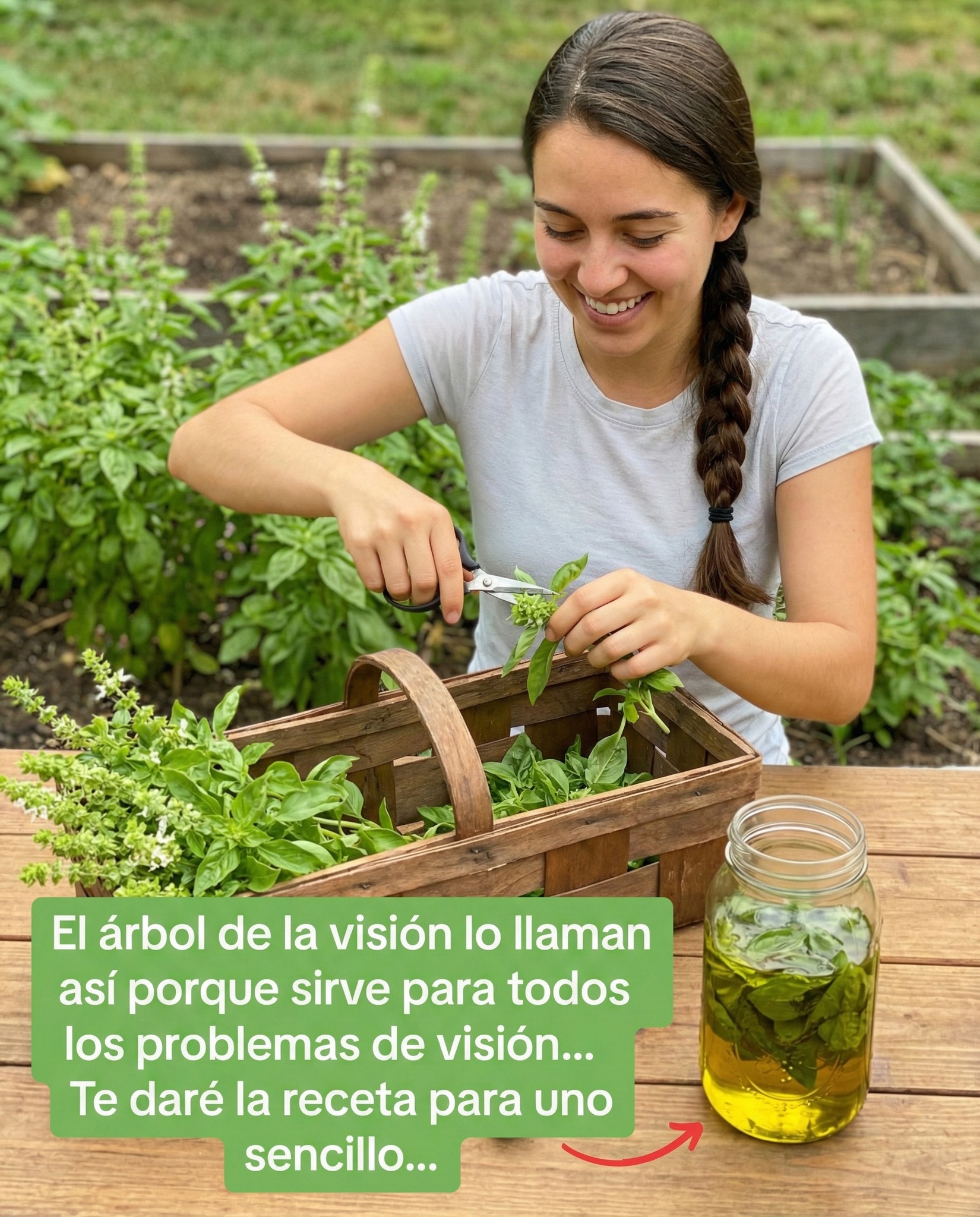 Mujer recolectando hojas de albahaca