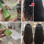 Champú Casero con Aloe Vera: La Fórmula Natural para Fortalecer, Hidratar y Revitalizar tu Cabello