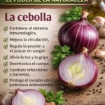 Los Asombrosos Beneficios de la Cebolla para la Salud y la Cocina