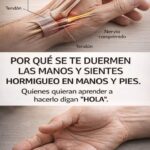 Comprender el Hormigueo en Manos y Pies y Cómo Aliviarlo de Forma Natural