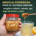 Fortalece Tu Sistema Inmune Con Esta Poderosa Mezcla Natural
