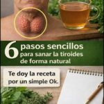 Seis pasos sencillos para sanar la tiroides de forma natural