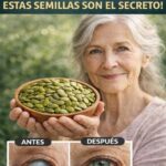Las Semillas Milagrosas Que Protegen Tu Vista