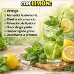Beneficios del Jugo de Hierbabuena con Limón para la Salud y la Energía