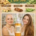 Beneficios del Champú de Jengibre Canela y Aloe Vera para un Cabello Saludable