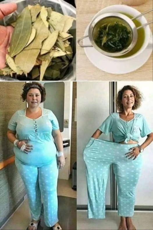 Transformación de Peso con Laurel