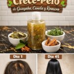 Champú Natural Crece-Pelo de Guayaba Canela y Romero Beneficios y Preparación